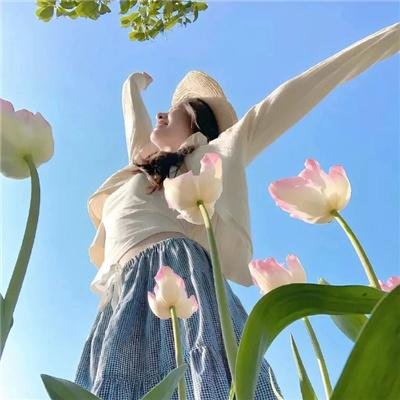 特务龙虎榜